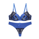 High Quality Women Seamless Sexy Bra & Pant Set - Blue