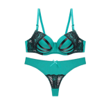 High Quality Women Seamless Sexy Bra & Pant Set - Green