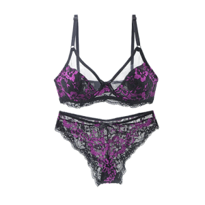 Women Ultra-thin Transparent Bra and Pant Set - Pink