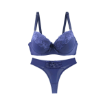 Sexy Bra and Pant Set Intimates Lace Thongs - Blue