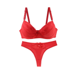 Sexy Bra and Pant Set Intimates Lace Thongs - Red