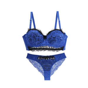 New Sexy Thin Cup Lace Floral Pant & Bras Set - Blue